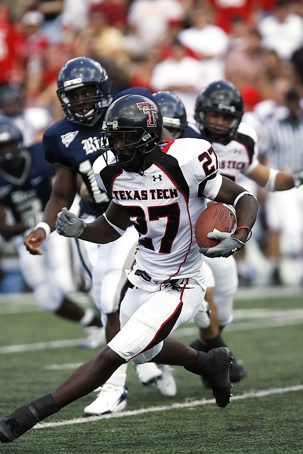 淀的友情 淀的友情